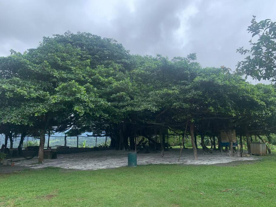 Ferienwohnung Disfruta Del Contacto Con La Naturaleza Puntarenas Exterior foto